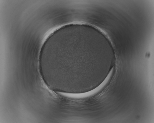 X0000113561327200910021545