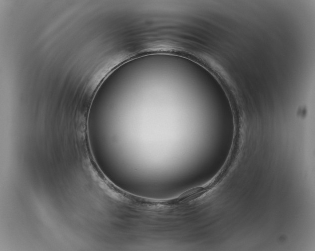 X0000113561329200910021545