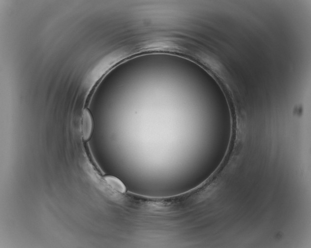 X0000113561330200910021545
