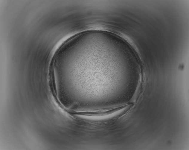 X0000113561331200910021545