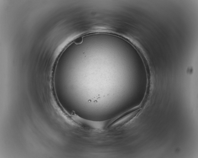 X0000113561333200910021545