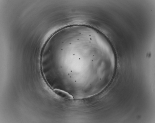 X0000113561334200910021545
