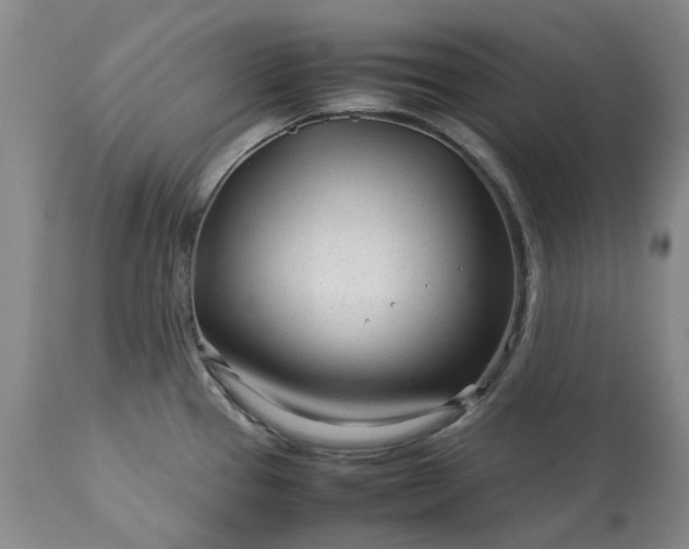X0000113561337200910021545