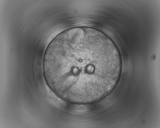 X0000113561338200910021545