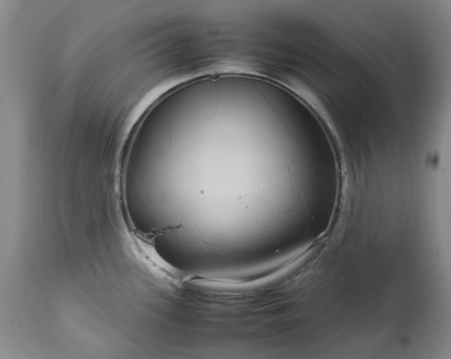X0000113561339200910021545