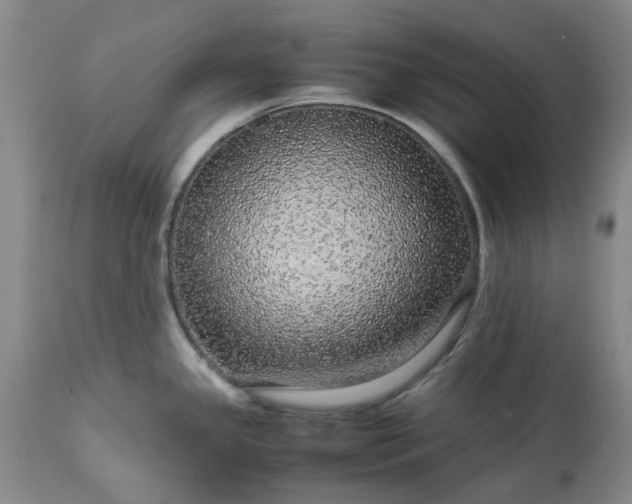 X0000113561341200910021545
