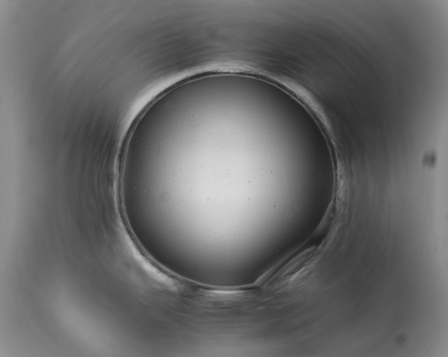 X0000113561343200910021545