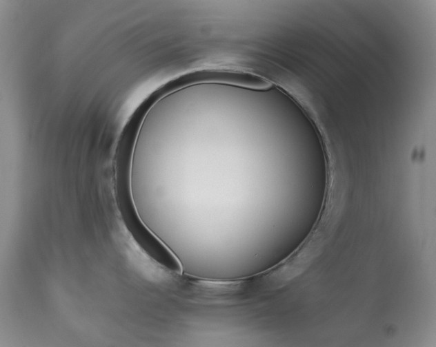 X0000113561344200910021545