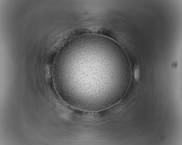X0000113561347200910021545