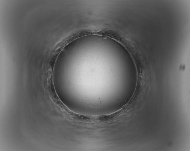 X0000113561349200910021545