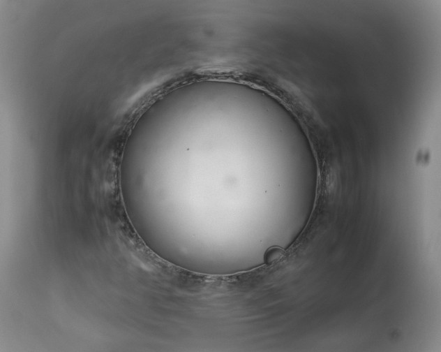 X0000113561350200910021545