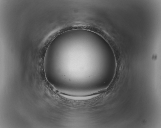 X0000113561351200910021545