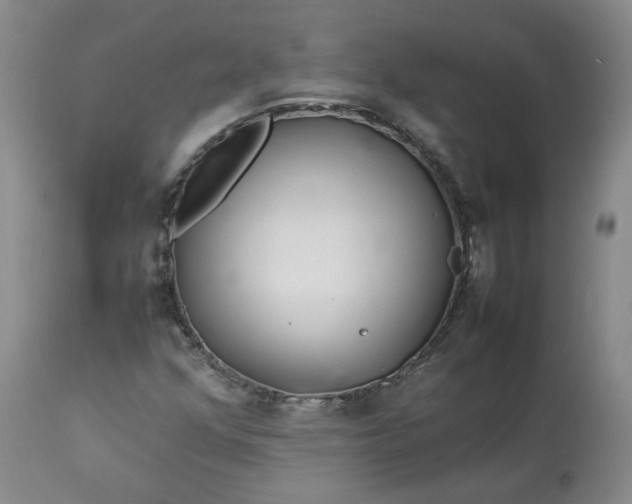 X0000113561352200910021545