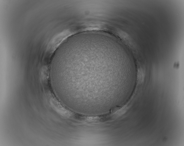 X0000113561353200910021545