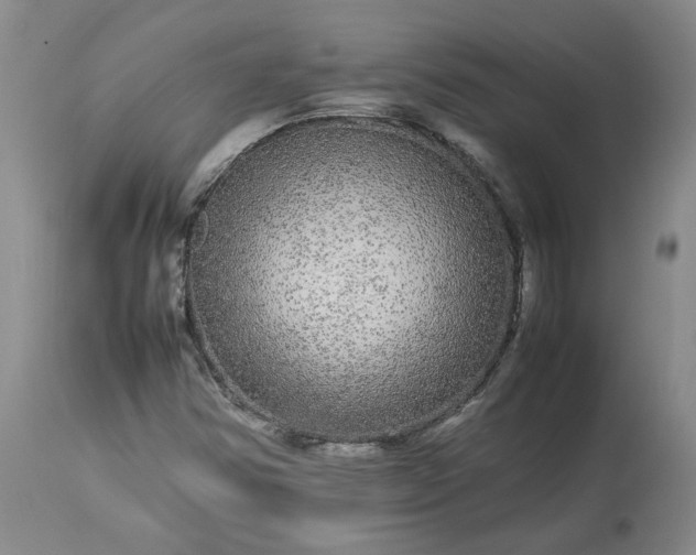 X0000113561354200910021545