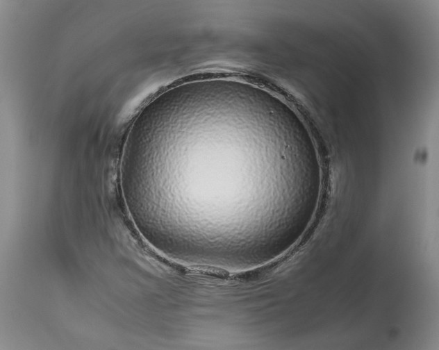 X0000113561355200910021544