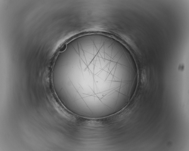 X0000113561356200910021544