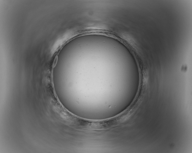 X0000113561357200910021544