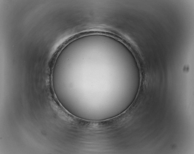 X0000113561360200910021544
