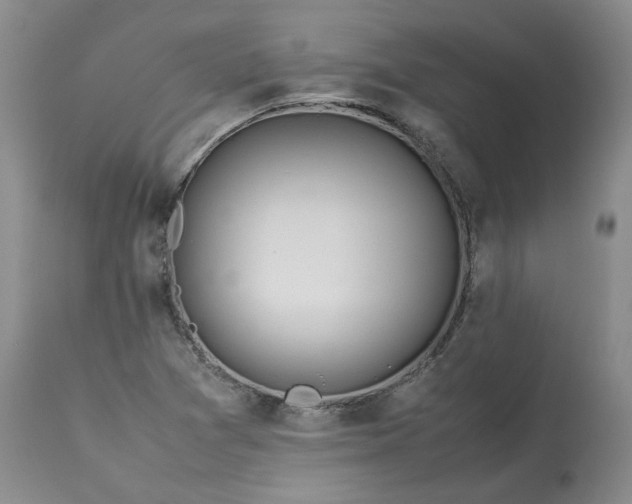 X0000113561361200910021544