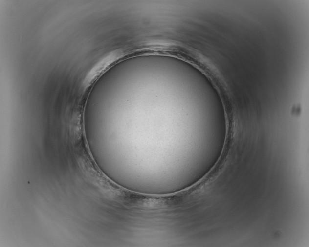 X0000113561362200910021544