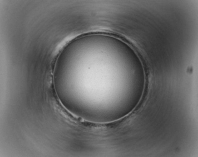 X0000113561363200910021544