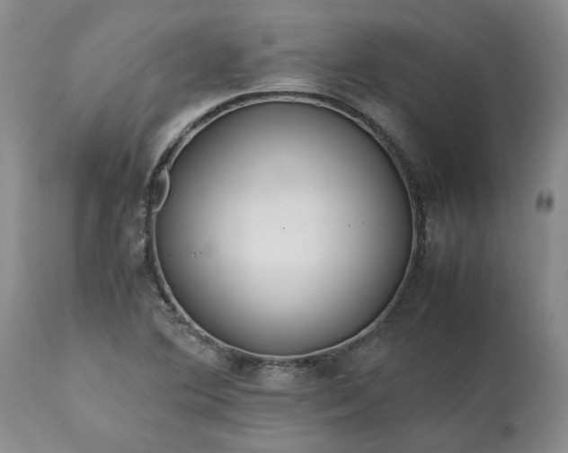 X0000113561364200910021544