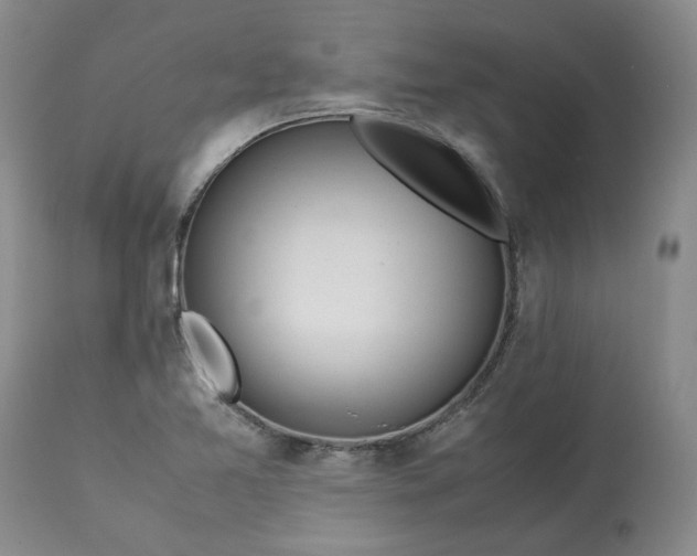 X0000113561365200910021544