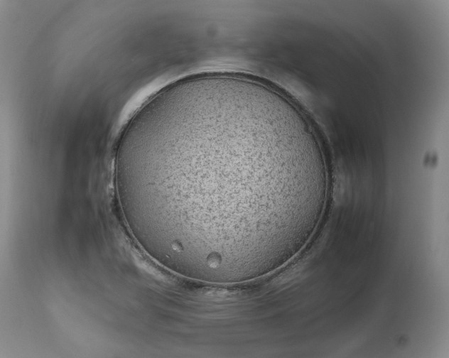 X0000113561366200910021544
