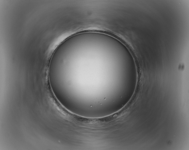 X0000113561367200910021544