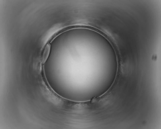 X0000113561368200910021544