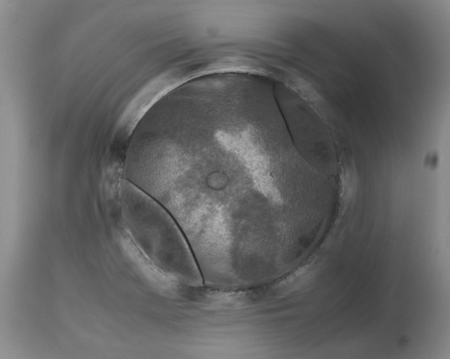 X0000113561369200910021544