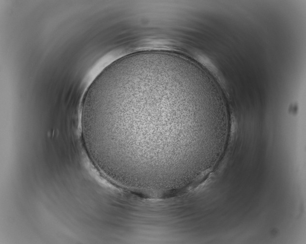 X0000113561370200910021544