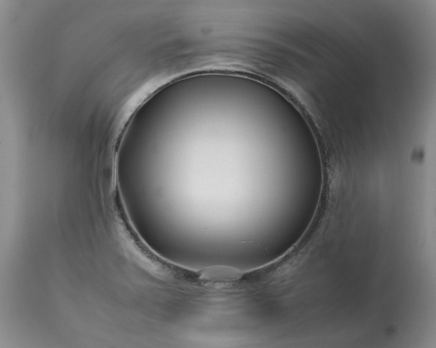 X0000113561371200910021544