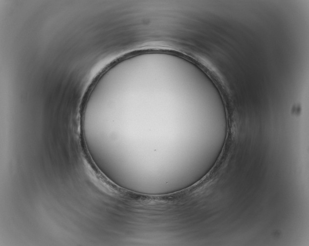 X0000113561372200910021544