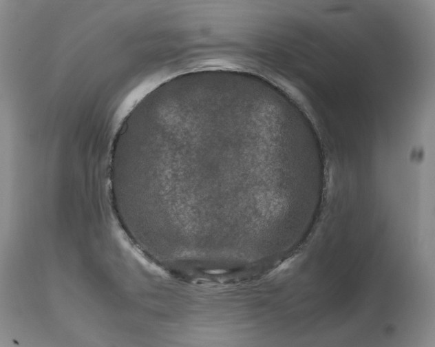 X0000113561373200910021544