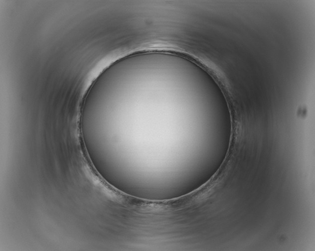 X0000113561374200910021544