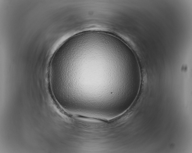 X0000113561375200910021544