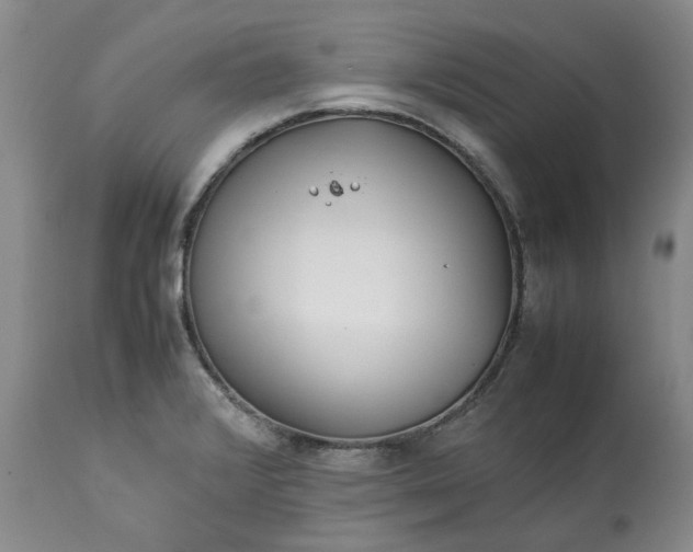 X0000113561376200910021544