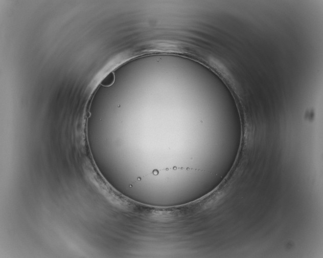X0000113561378200910021544
