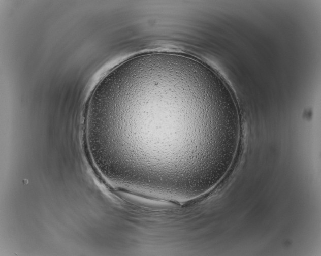 X0000113561379200910021544