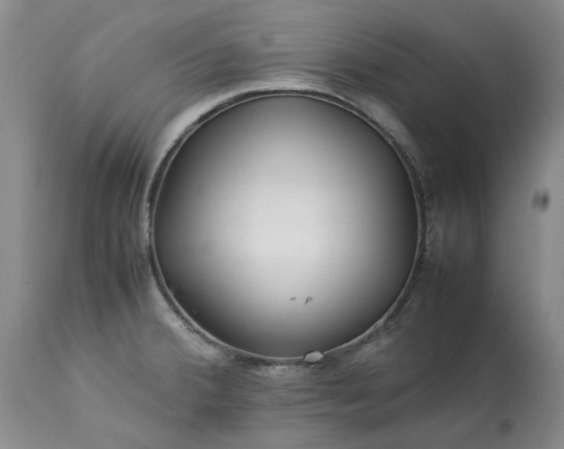 X0000113561380200910021544