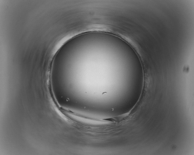 X0000113561383200910021544