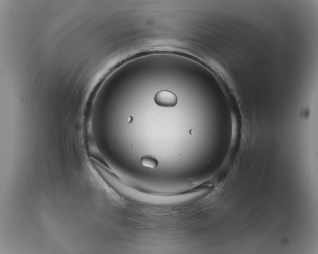 X0000113561384200910021544