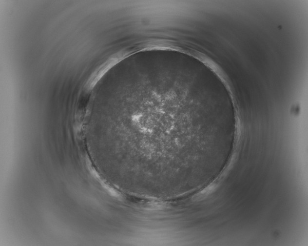 X0000113561385200910021544