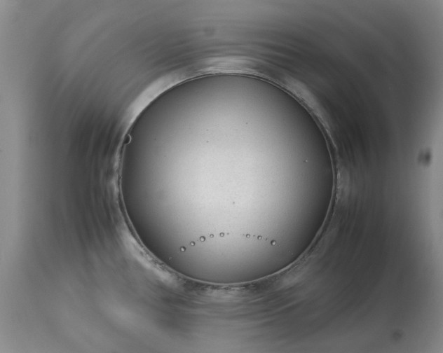 X0000113561386200910021544