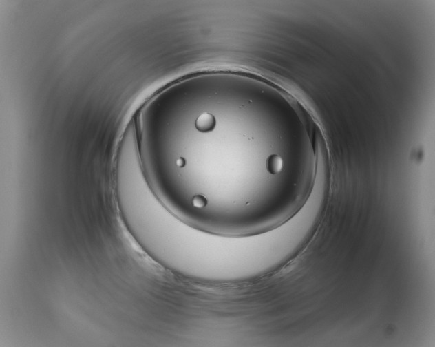 X0000113561388200910021544