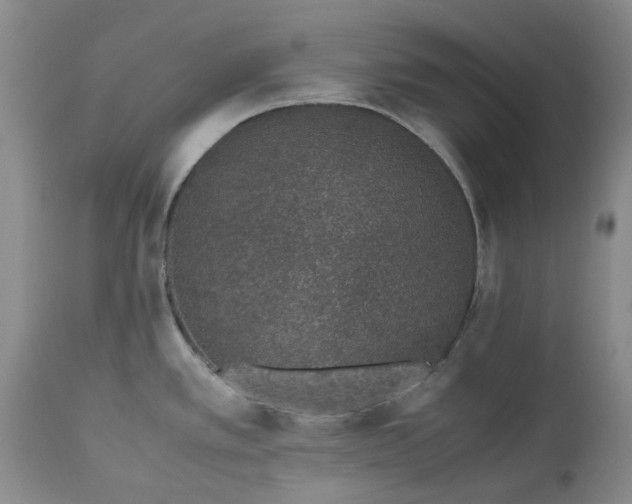X0000113561389200910021544