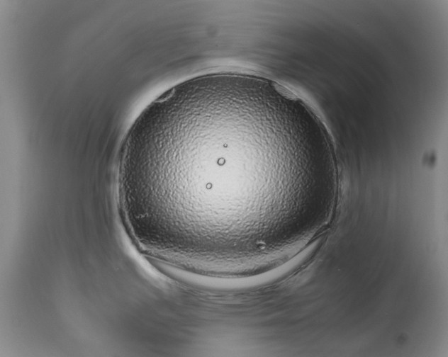 X0000113561391200910021544