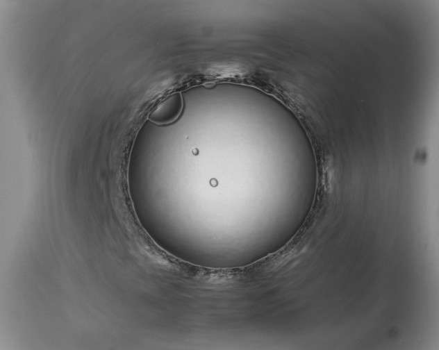 X0000113561393200910021543